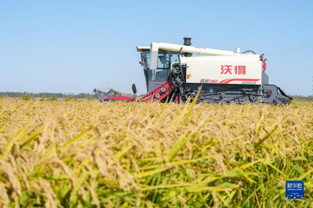 购白菜网站